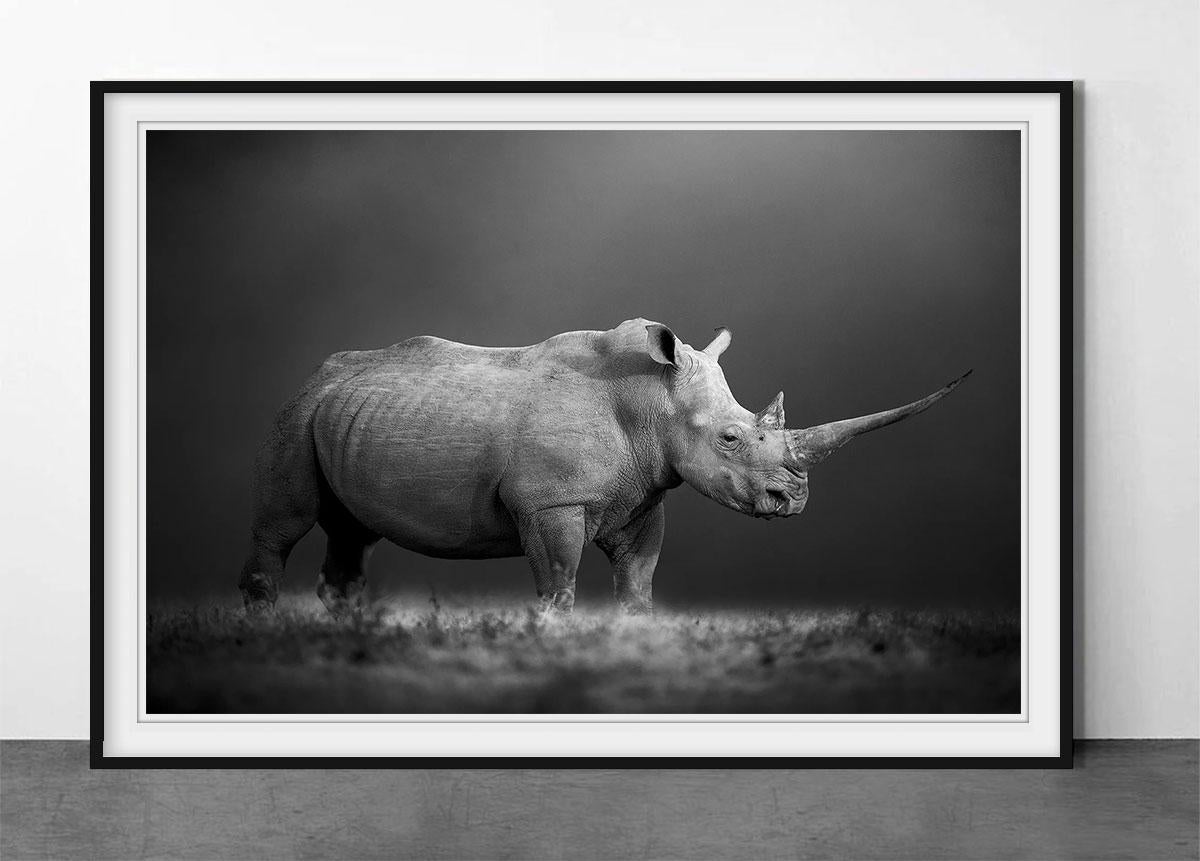 Puissance naturelle - Photograph de Björn Persson