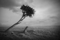 Nirvana, Africa series by Bjorn Persson Wildlife Photography