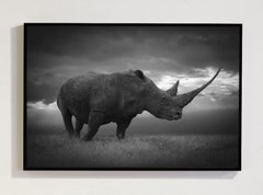 „Noble Soul“, Afrika-Serie von Björn Persson – Naturfotografie