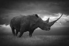 „Noble Soul“, Afrika-Serie von Björn Persson – Naturfotografie