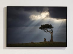 Serie „Promised Land, Africa“ von Björn Persson – Naturfotografie