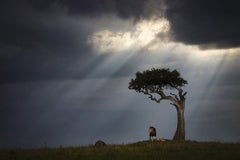 Serie „Promised Land, Africa“ von Björn Persson – Naturfotografie