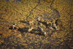 River Of Life, Africaby Bjorn Persson Wildlife Photography