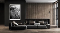 Soul of the Lion