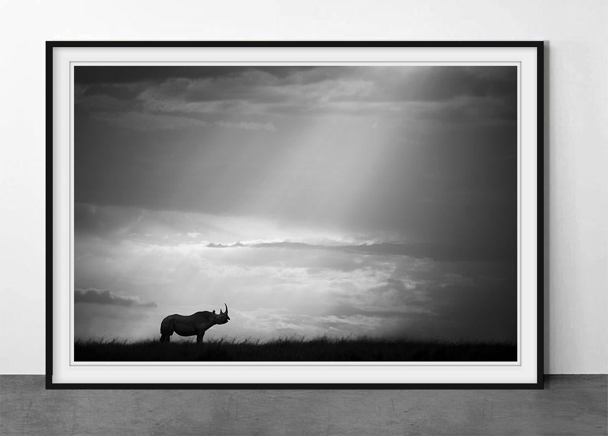 The Chosen - Print de Björn Persson