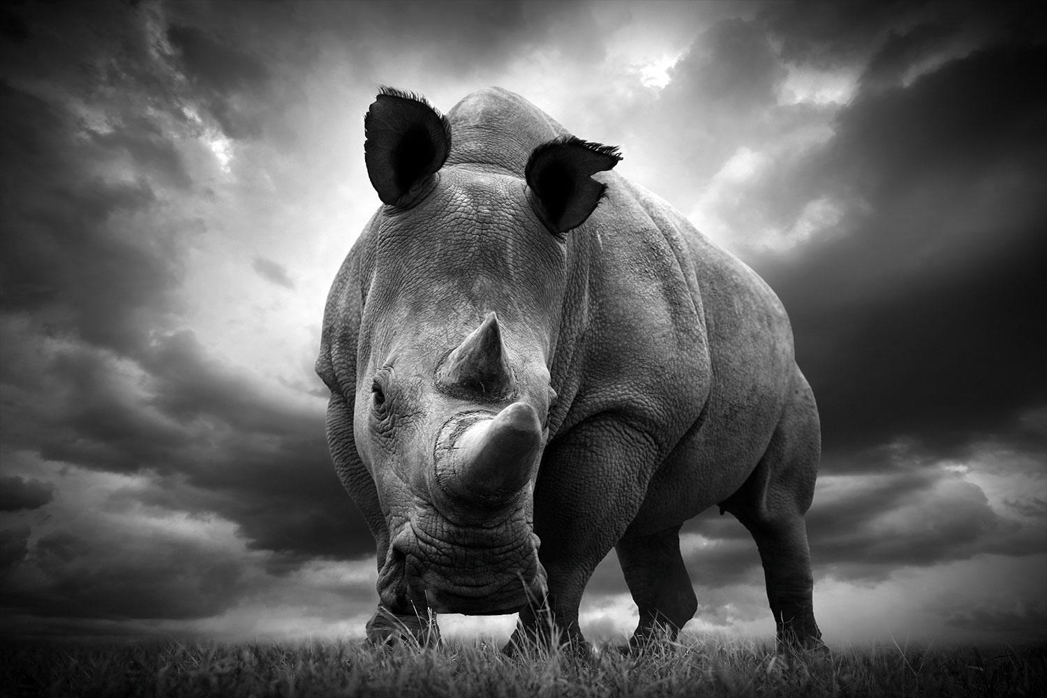 Björn Persson Black and White Photograph – Last Ones Ol Peseta National Reserve, Kenia