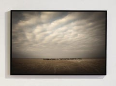 La serie “The Thin Line, Africa” di Bjorn Persson – Fotografia naturalistica