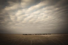 La serie “The Thin Line, Africa” di Bjorn Persson – Fotografia naturalistica