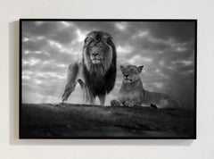 Top Of The World, Africa series by Bjorn Persson Wildlife Photography