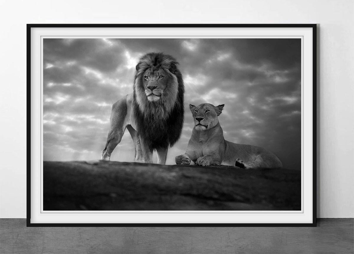 Le sommet du monde - Photograph de Björn Persson