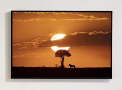 Serie «El árbol de la vida, África», de Bjorn Persson, fotografía de fauna salvaje
