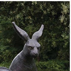 Der Hase und die Schildkröte