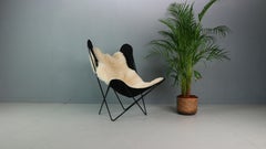 BKF Butterfly Chair by Jorge Hardoy-Ferrari for Knoll, 1960s incl. Sheepskin