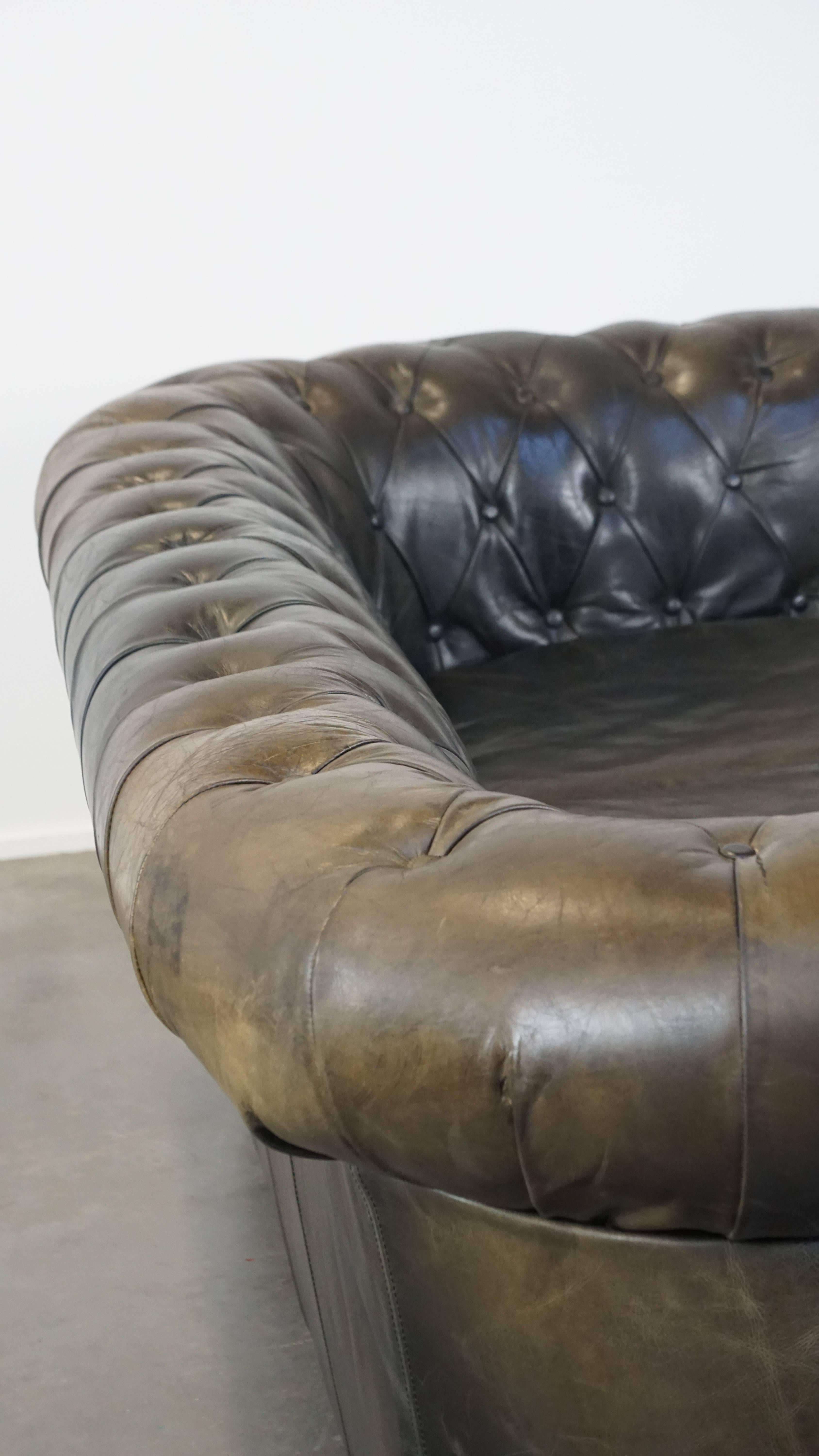 Schwarzes 2,5-sitziges englisches Chesterfield-Sofa aus Rindsleder mit charmanten Details im Angebot 5