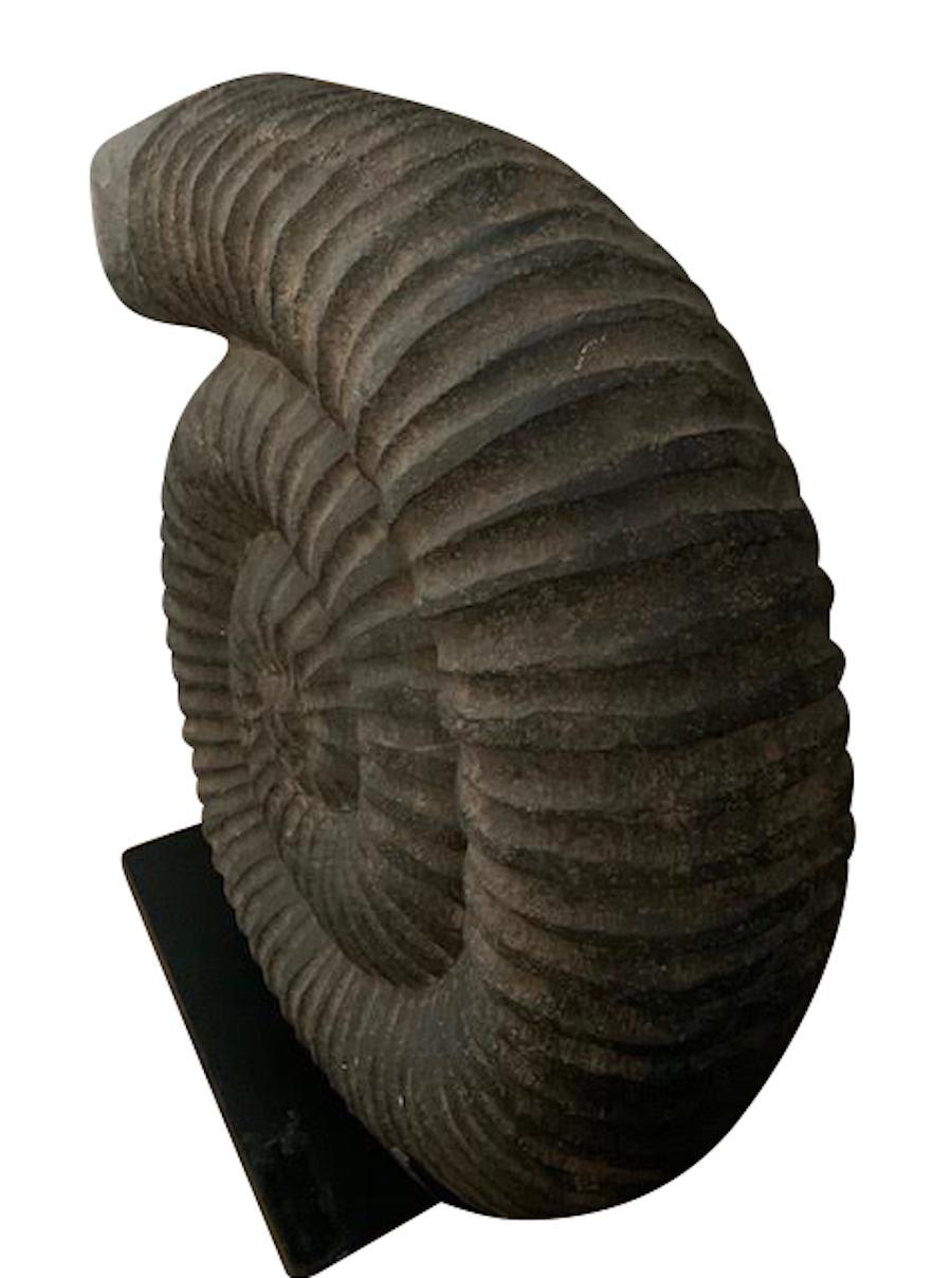 Ammonite noire indonésienne contemporaine sur socle en fer.
Le support mesure 10