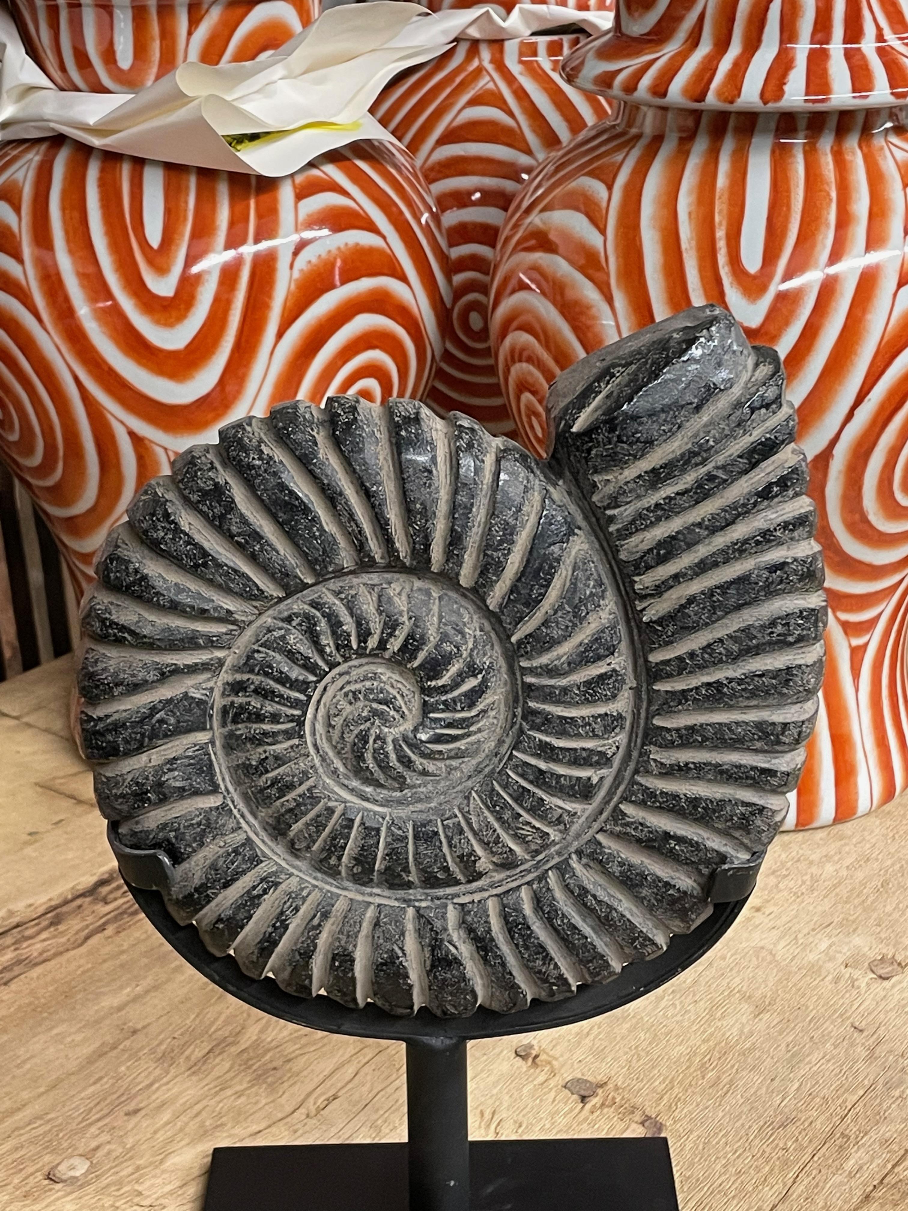 ammonite stand