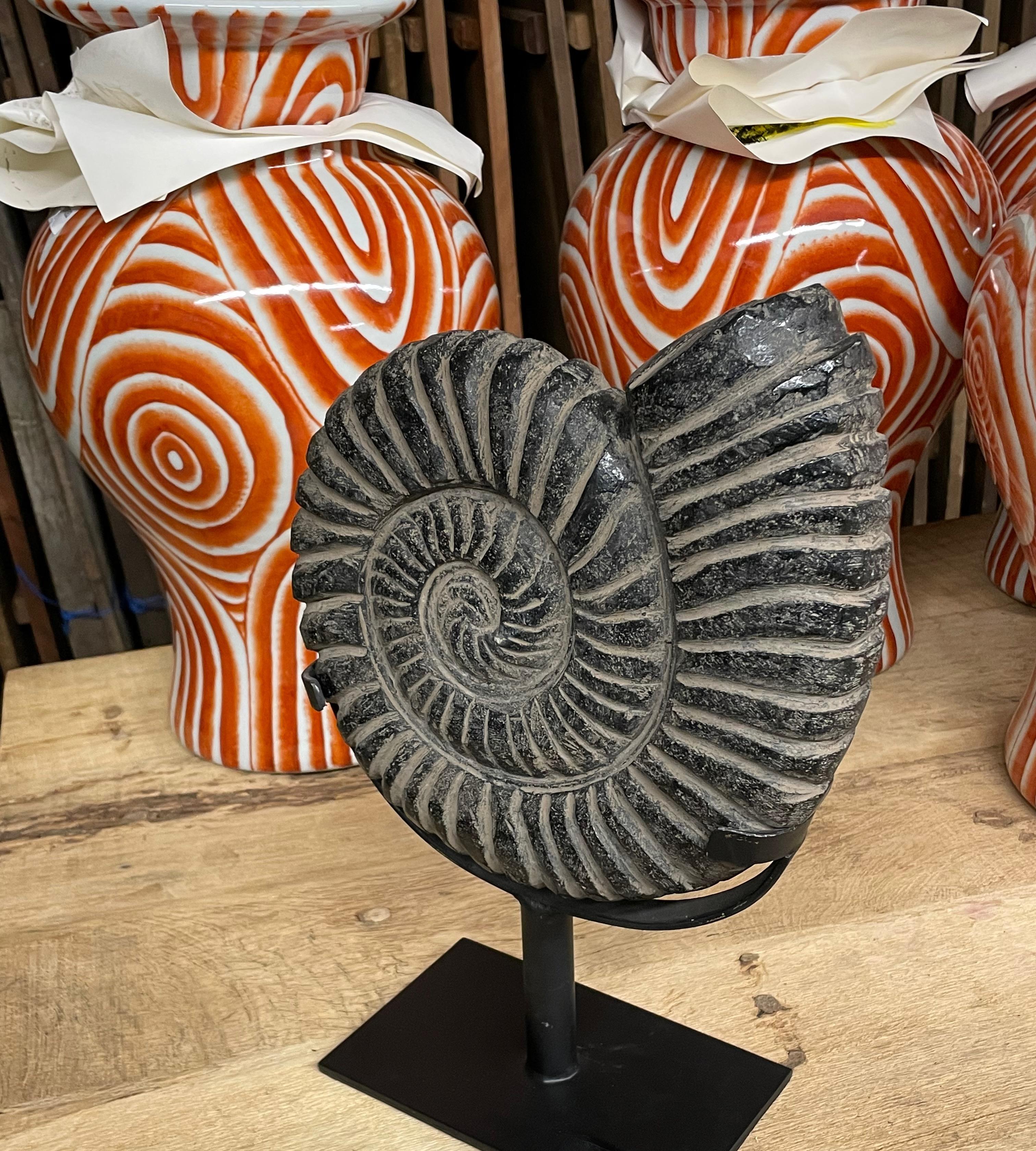 Indonesian Black Ammonite Sculpture On Stand, Indonesia, Contemporary