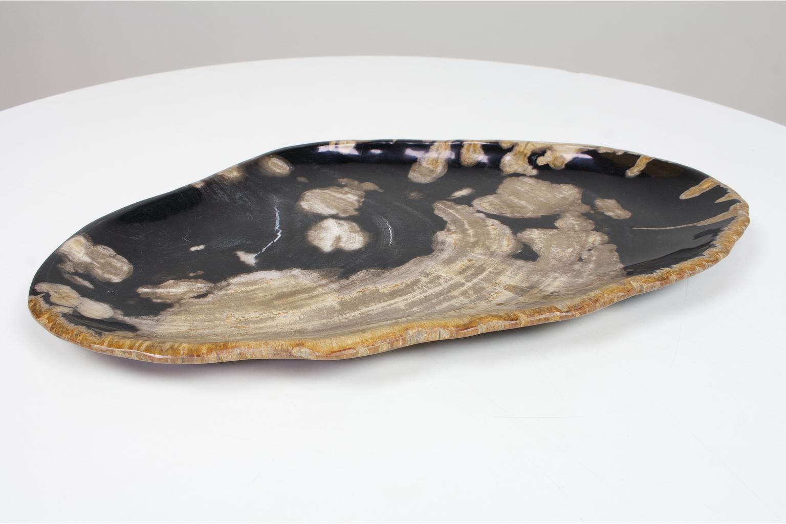 Organic Modern Black and Beige Oval Shaped Petrified Wooden Platter or Plate Organic Origin