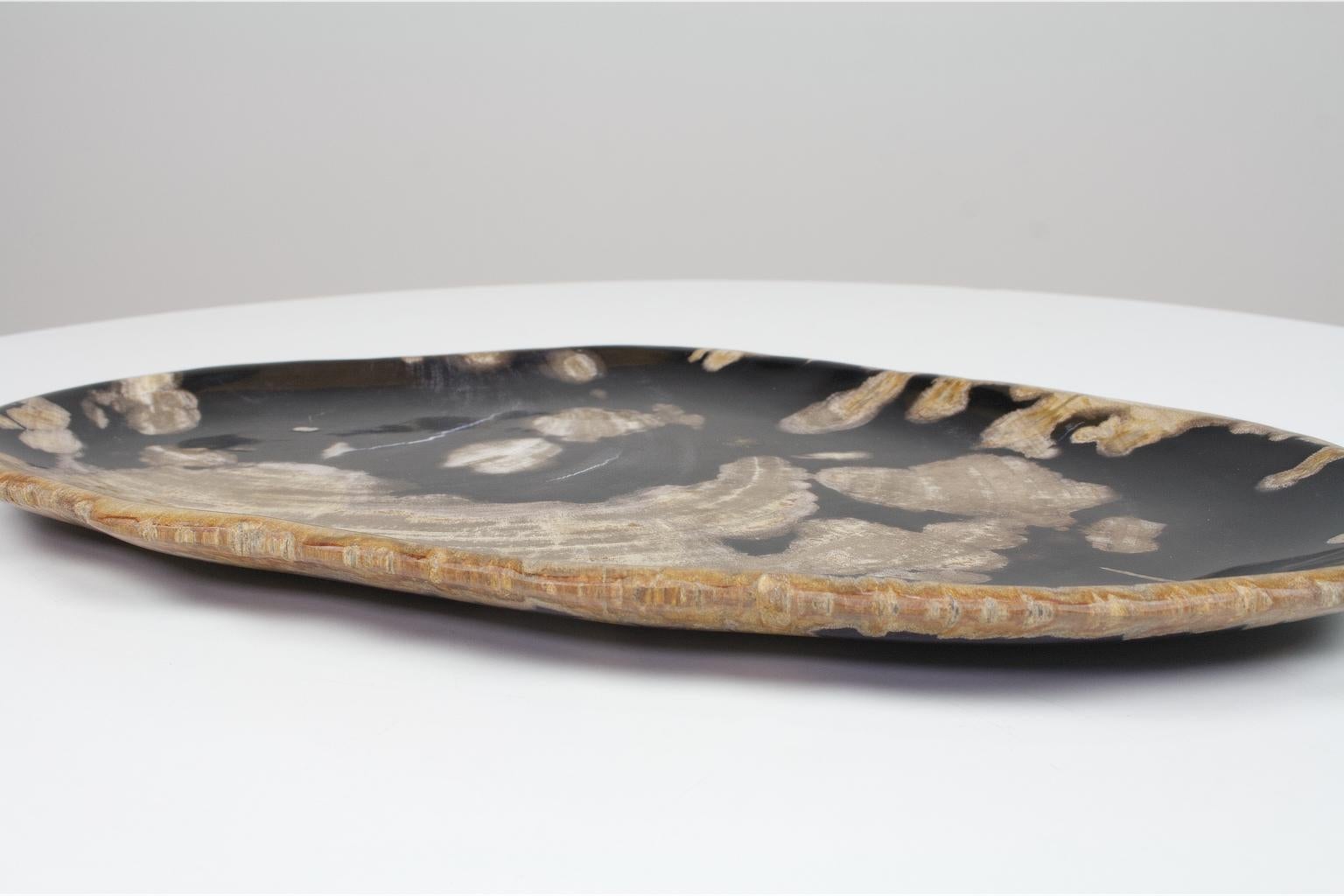Indonesian Black and Beige Oval Shaped Petrified Wooden Platter or Plate Organic Origin
