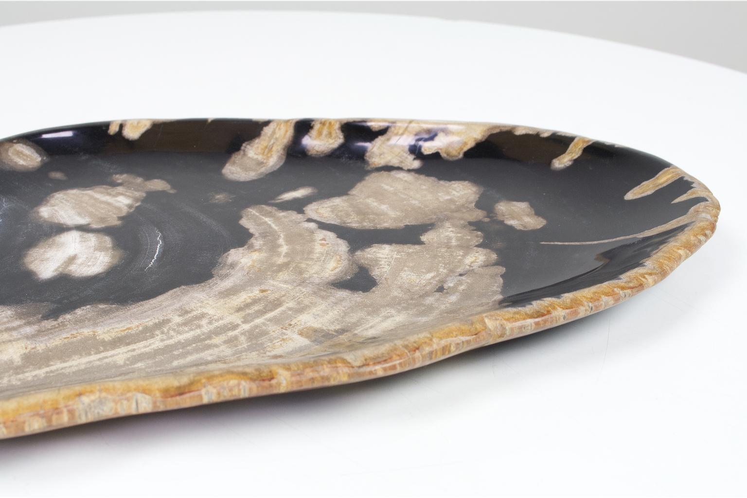 Black and Beige Oval Shaped Petrified Wooden Platter or Plate Organic Origin In Excellent Condition In Beek en Donk, NL