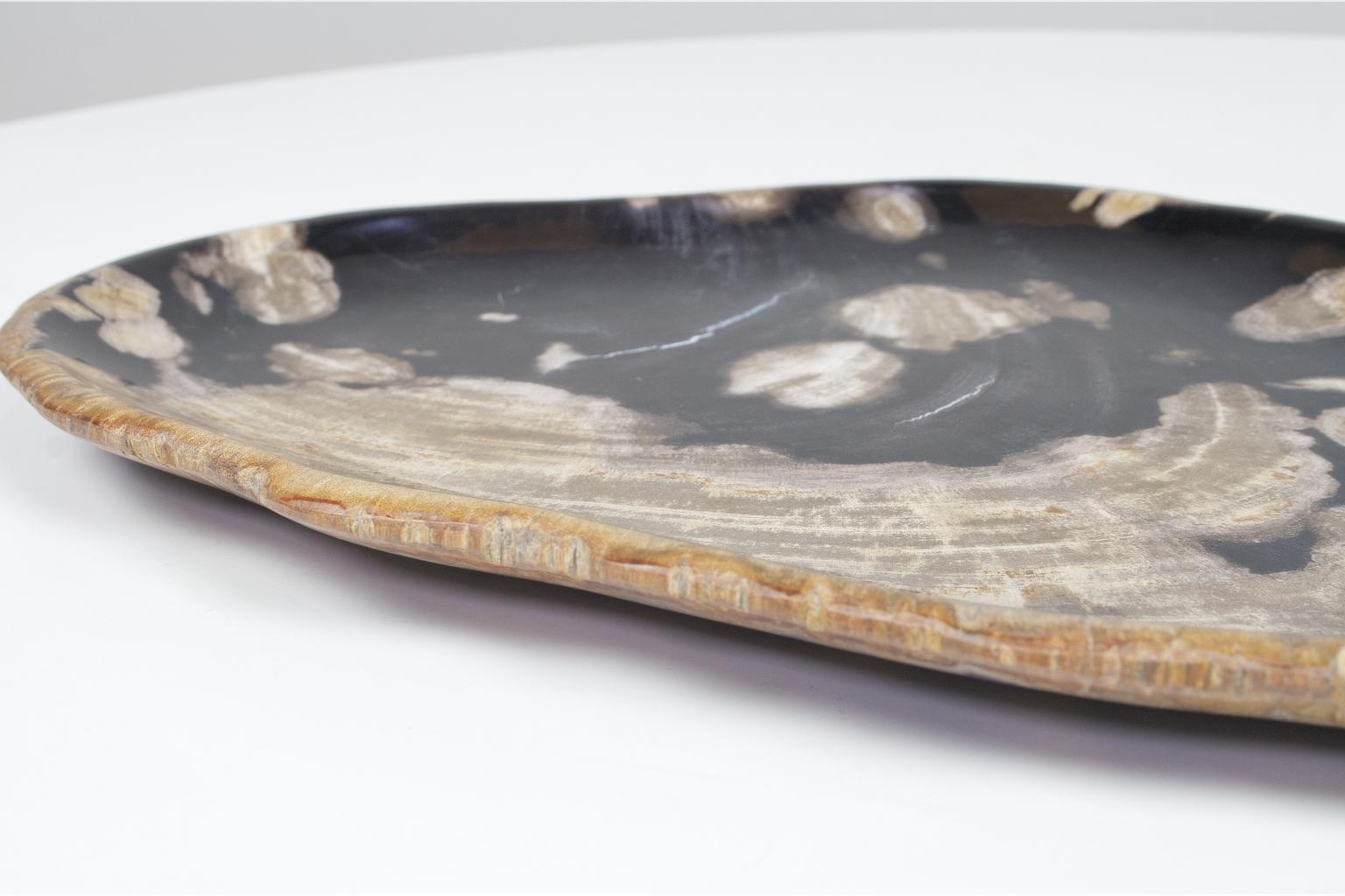 18th Century and Earlier Black and Beige Oval Shaped Petrified Wooden Platter or Plate Organic Origin