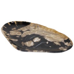 Black and Beige Oval Shaped Petrified Wooden Platter or Plate Organic Origin