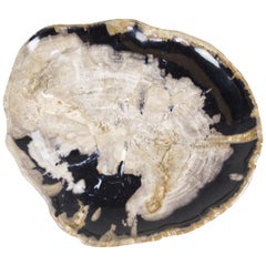 Antique Black and Beige Petrified Wooden Large Platter, Ancient Organic Home Accessory