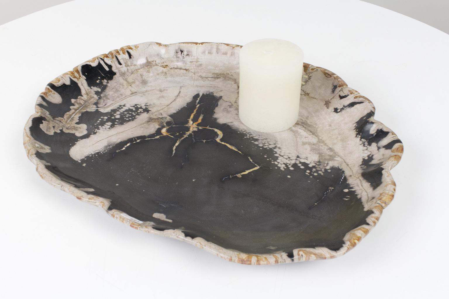 Smooth sanded, petrified wooden plate (or dish) in black and beige tones. The listed item is of organic origin, and was shaped during an organic (and natural) mineralization process, that transforms organic material (in this case wood) into a stone