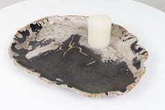 Black and Beige Petrified Wooden Platter, Organic, Home Accessory
