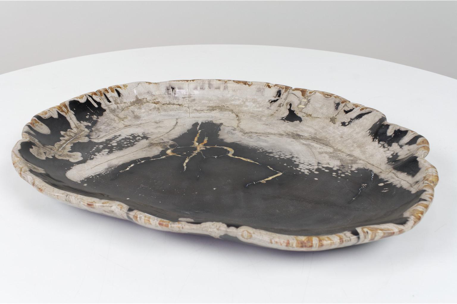 Organic Modern Black and Beige Petrified Wooden Platter, Organic, Home Accessory For Sale