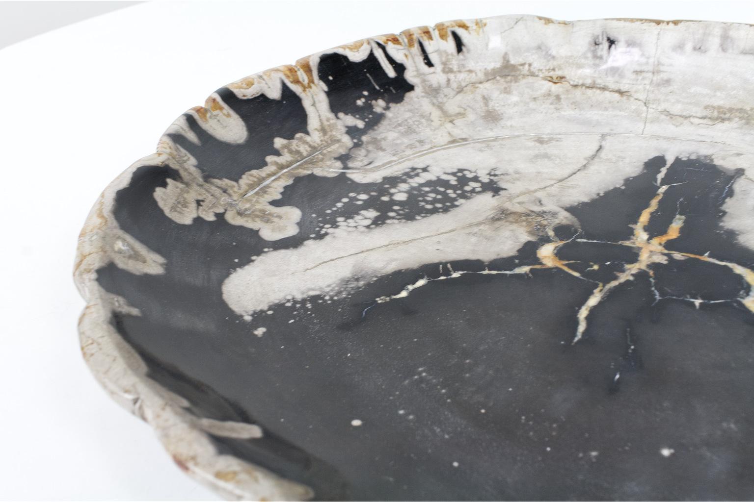18th Century and Earlier Black and Beige Petrified Wooden Platter, Organic, Home Accessory For Sale