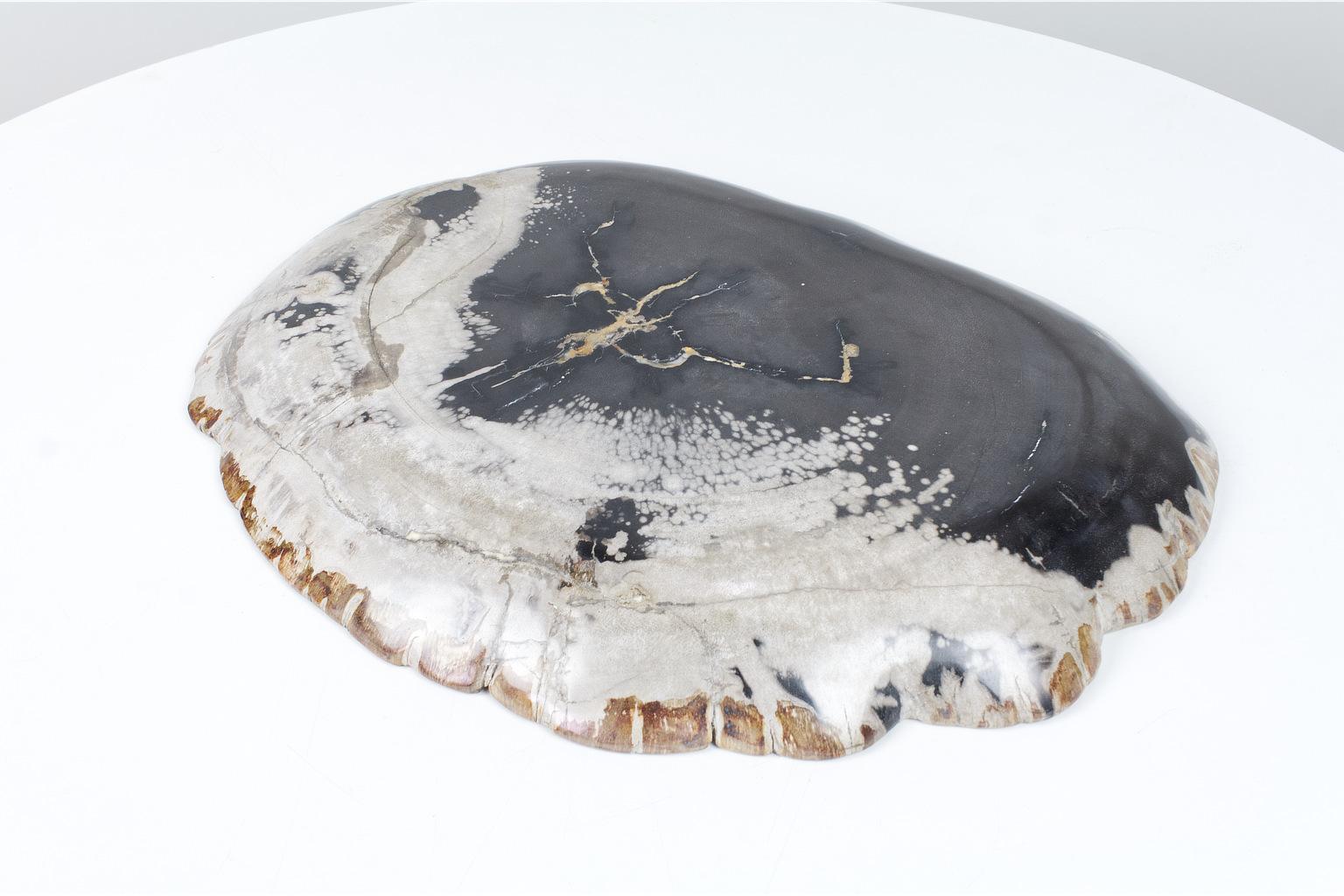 Black and Beige Petrified Wooden Platter, Organic, Home Accessory For Sale 1