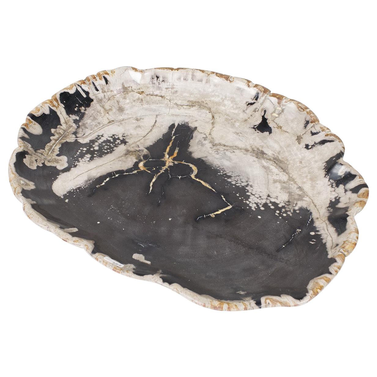 Black and Beige Petrified Wooden Platter, Organic, Home Accessory For Sale