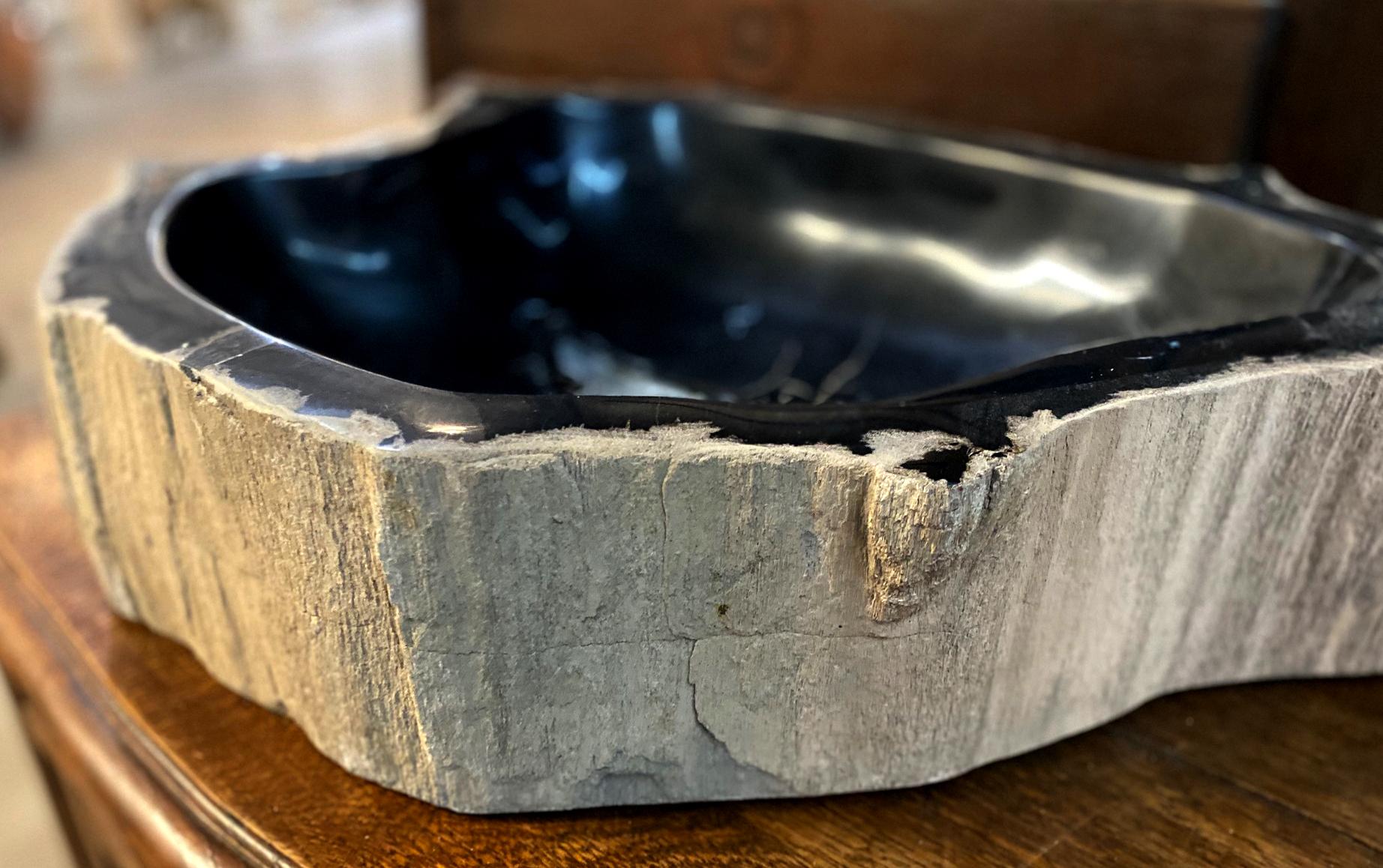 North American Black and Brown Petrified Wood Sink