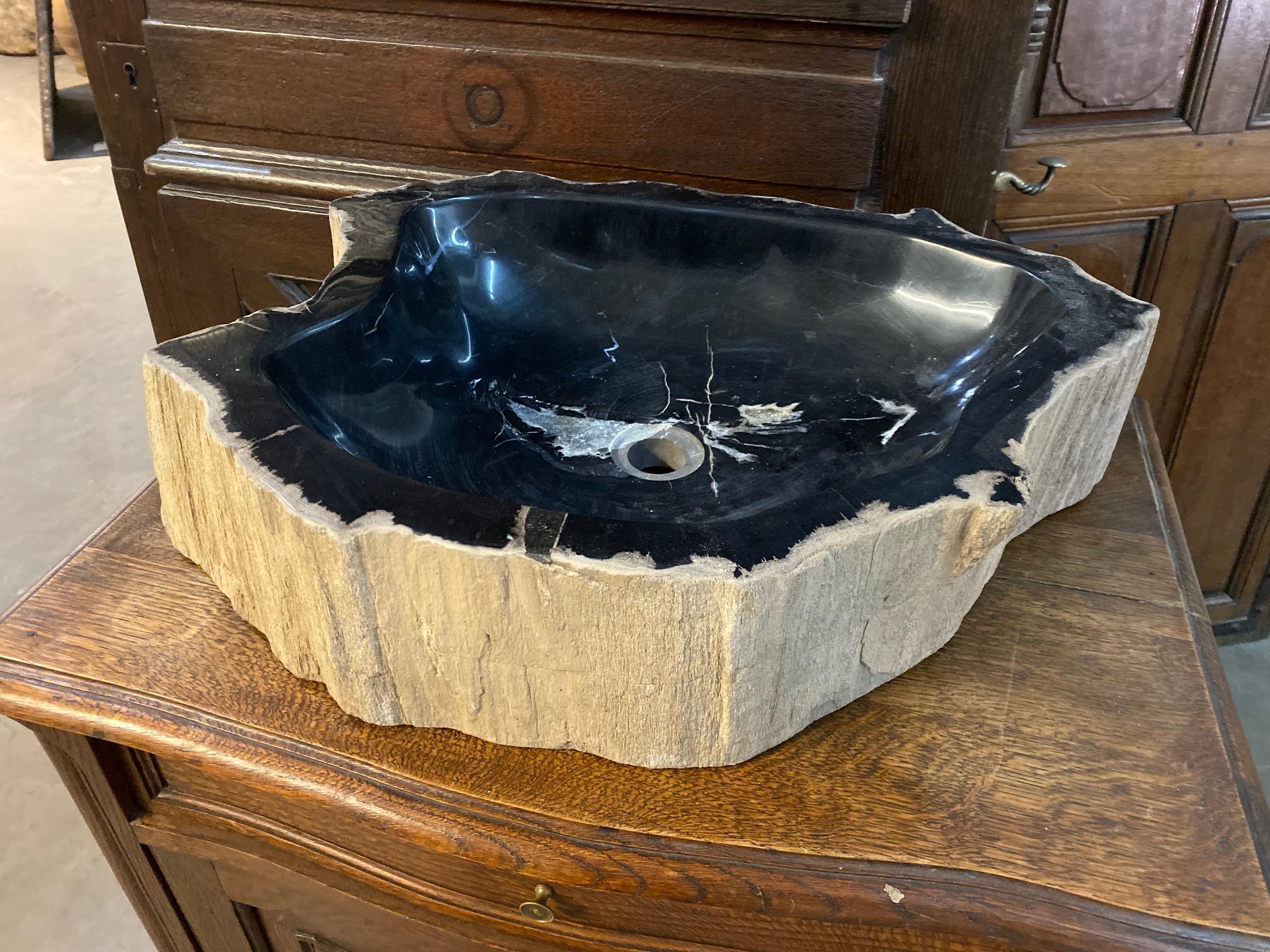 Contemporary Black and Brown Petrified Wood Sink