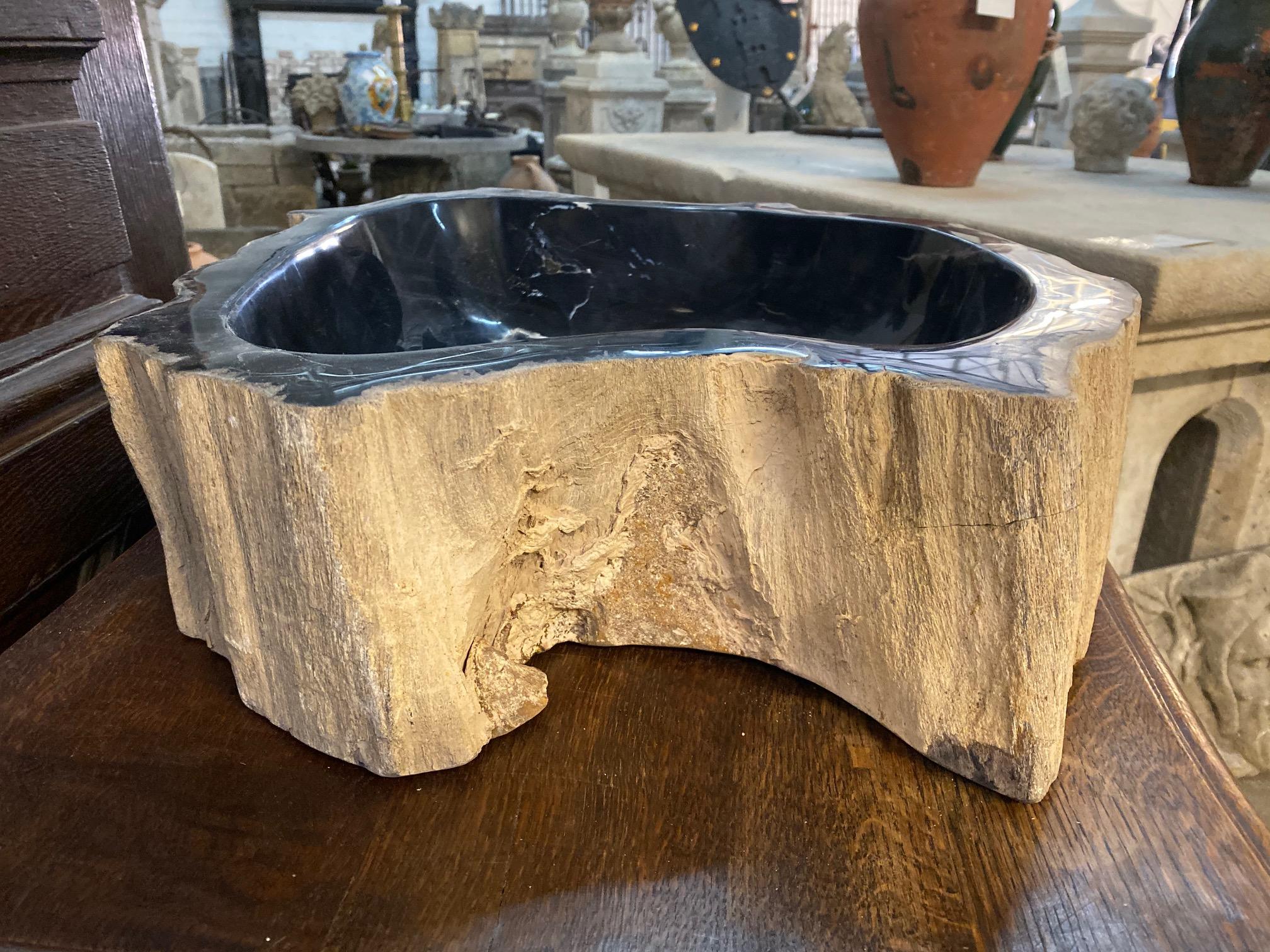 Black and Brown Petrified Wood Sink 1