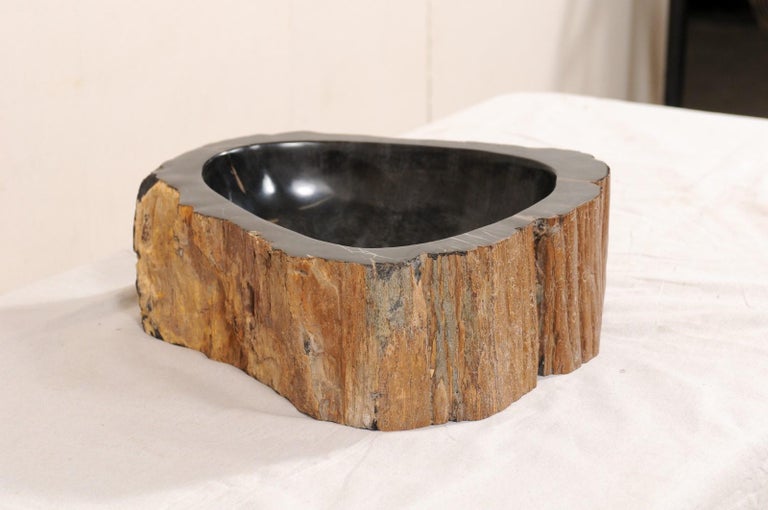 Black and Brown Polished Petrified Wood Sink at 1stDibs