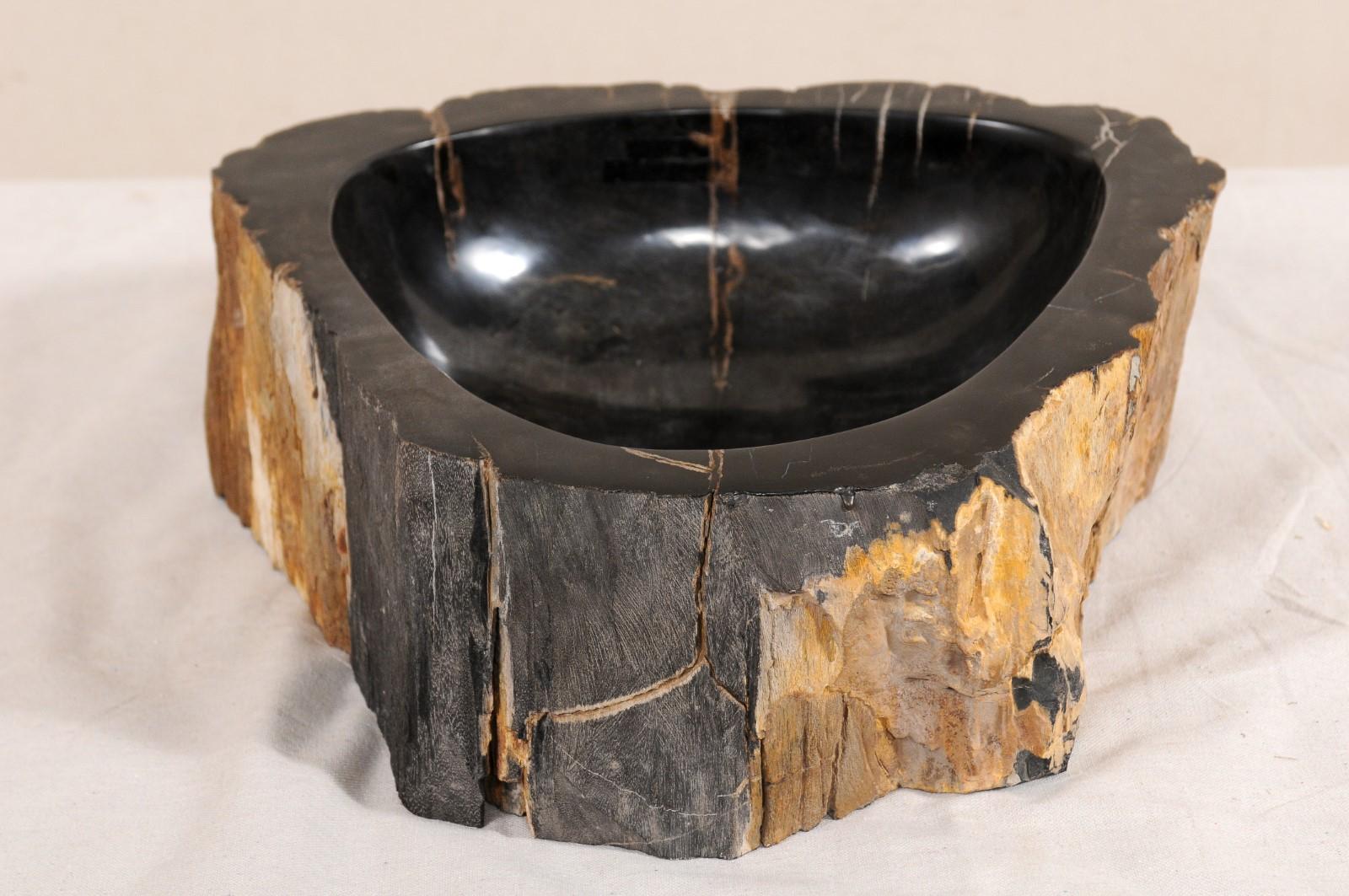 Contemporary Black and Brown Polished Petrified Wood Sink