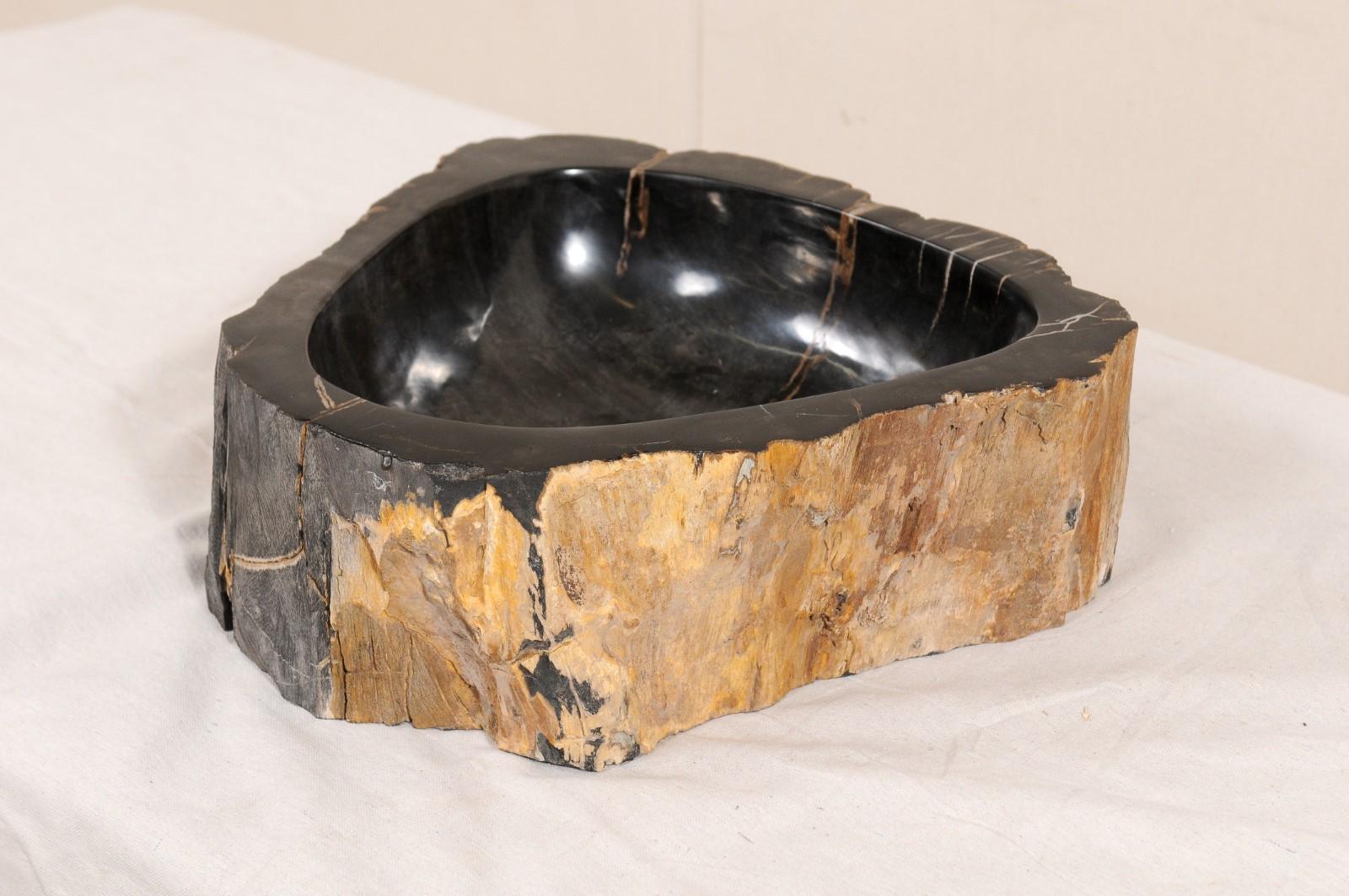 Black and Brown Polished Petrified Wood Sink 1