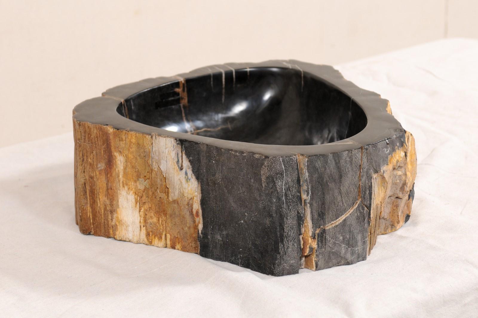 Black and Brown Polished Petrified Wood Sink 2