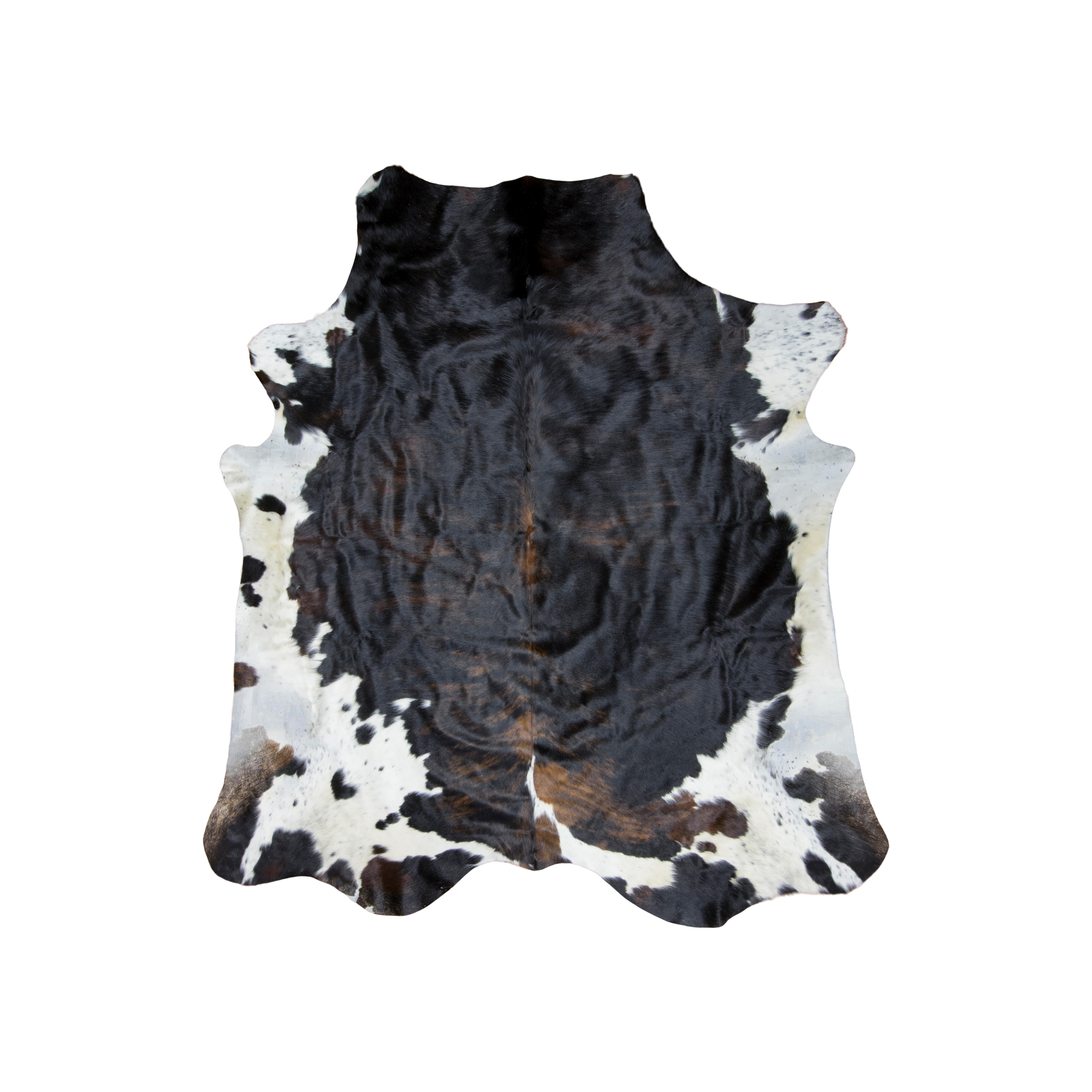 Beautiful black and copper cowhide; 81