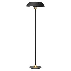 Black and Gold Contemporary Floor Lamp 
