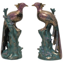 Black and Gold Peacock or Phoenix Birds