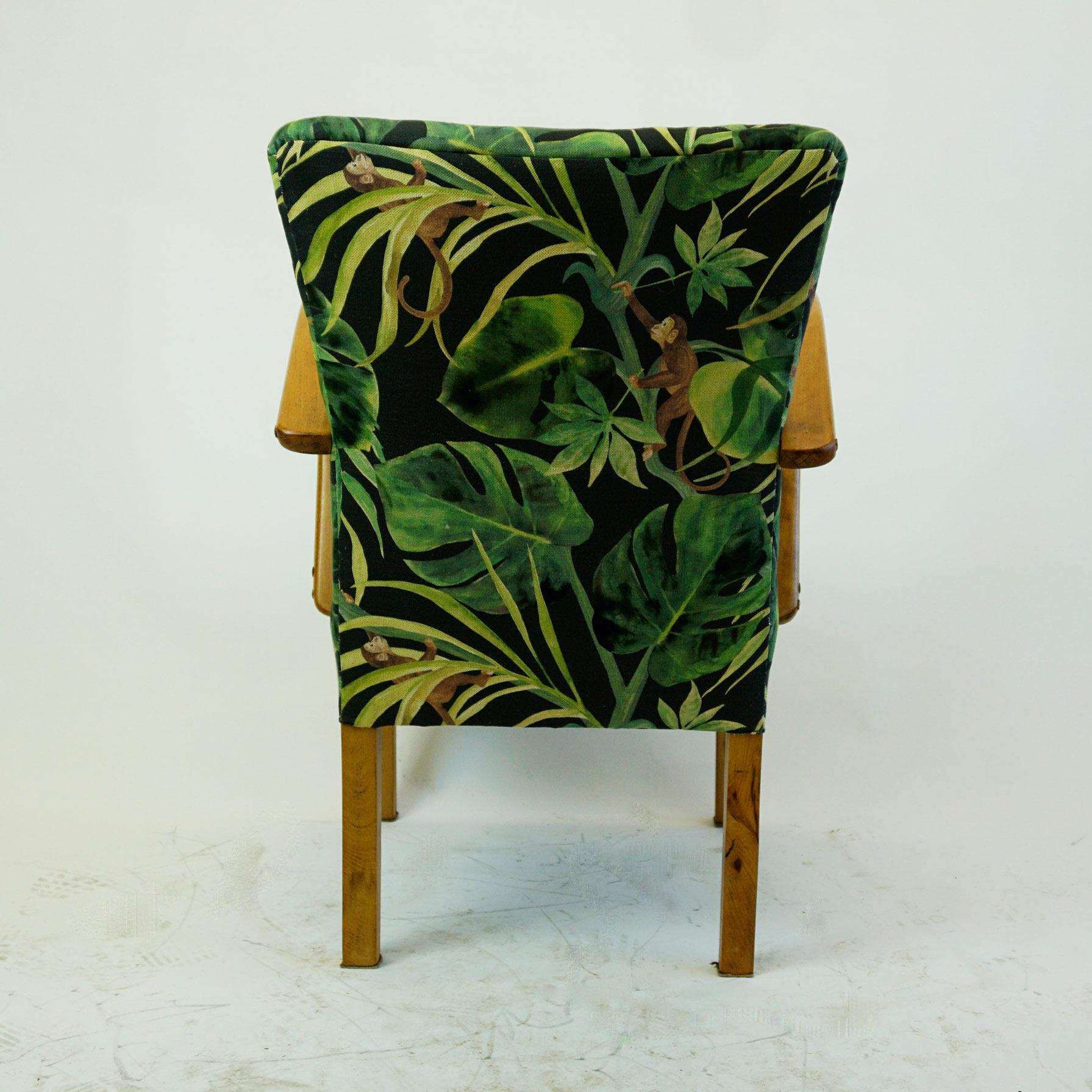 Black and Green Floral Austrian Art Deco Beechwood Armchair In Good Condition In Vienna, AT