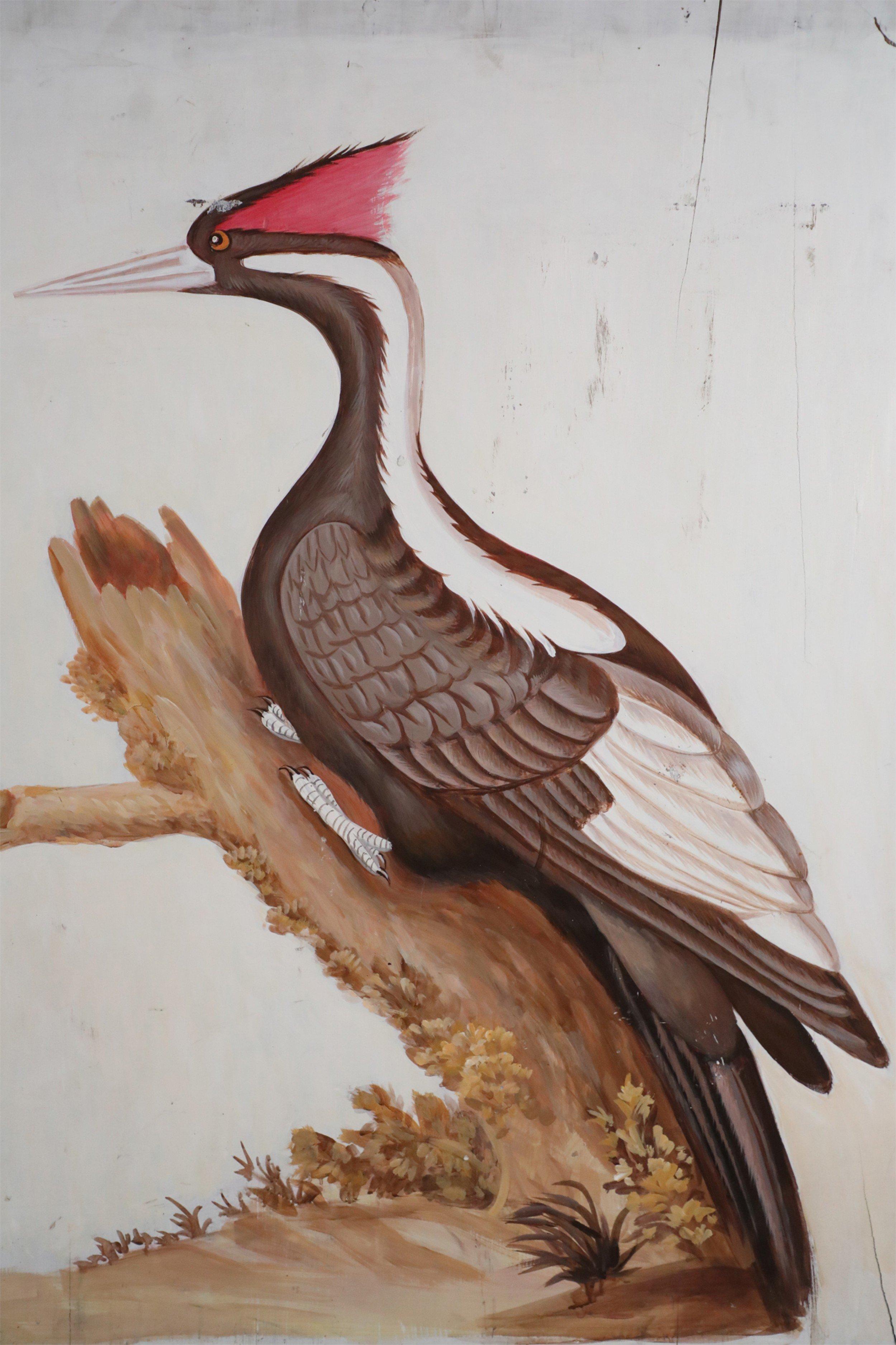 woodpecker symbolism