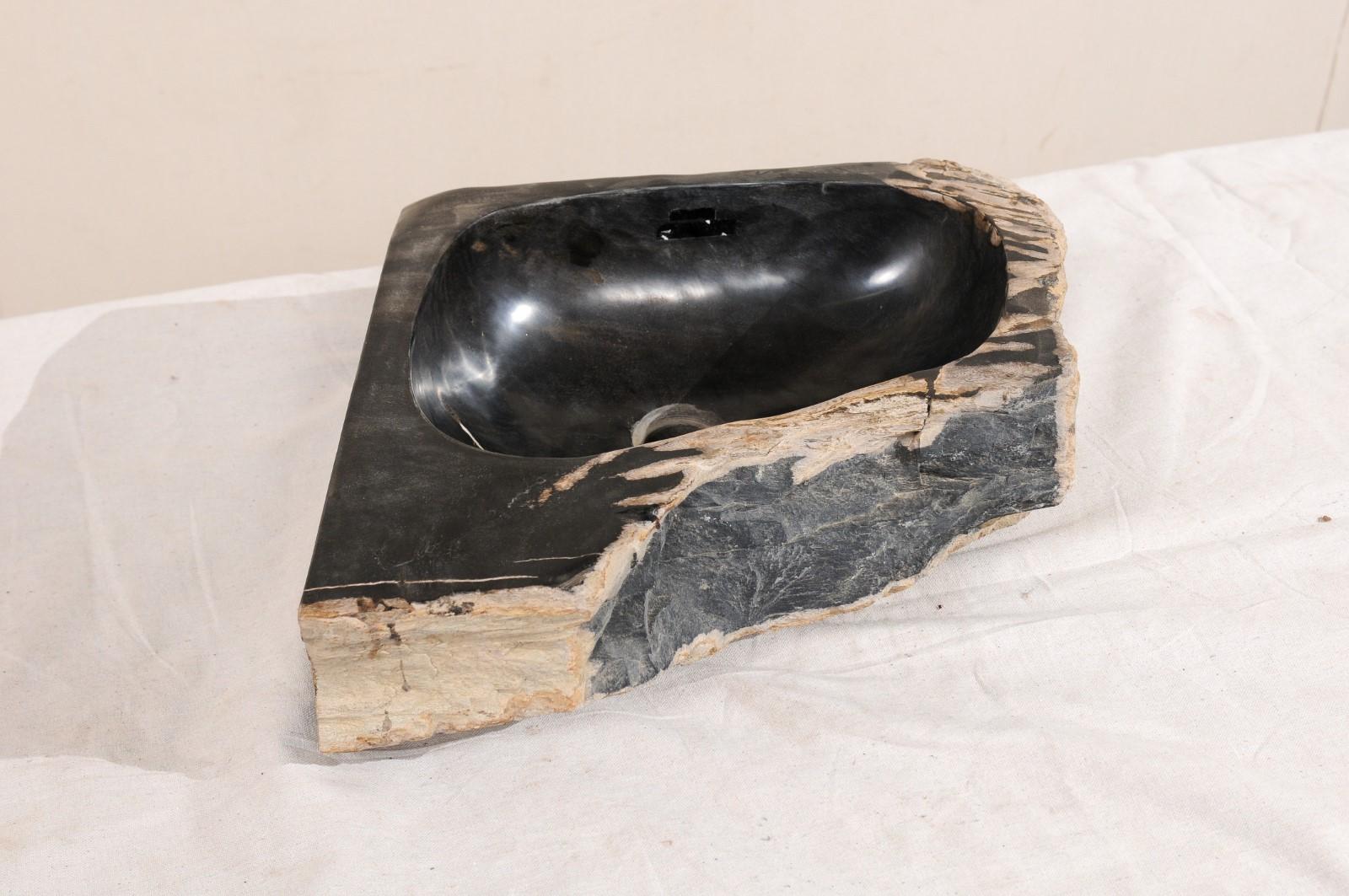 Black and Tan Polished Petrified Wood Sink 7