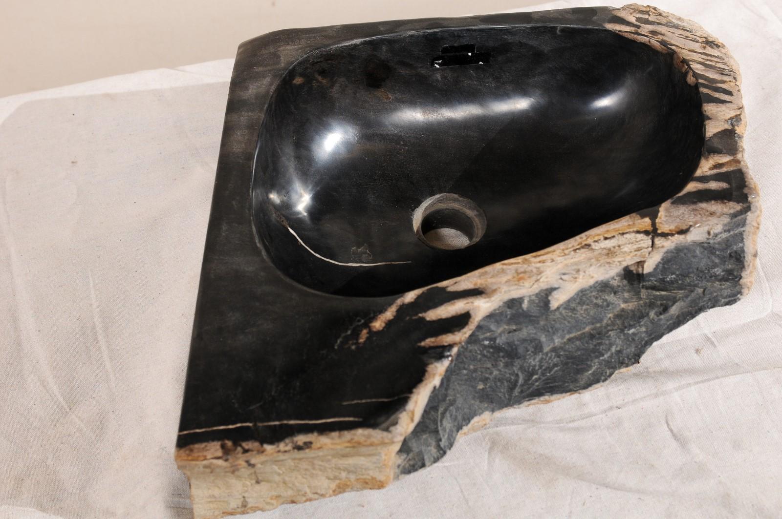 Contemporary Black and Tan Polished Petrified Wood Sink