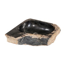 Black and Tan Polished Petrified Wood Sink