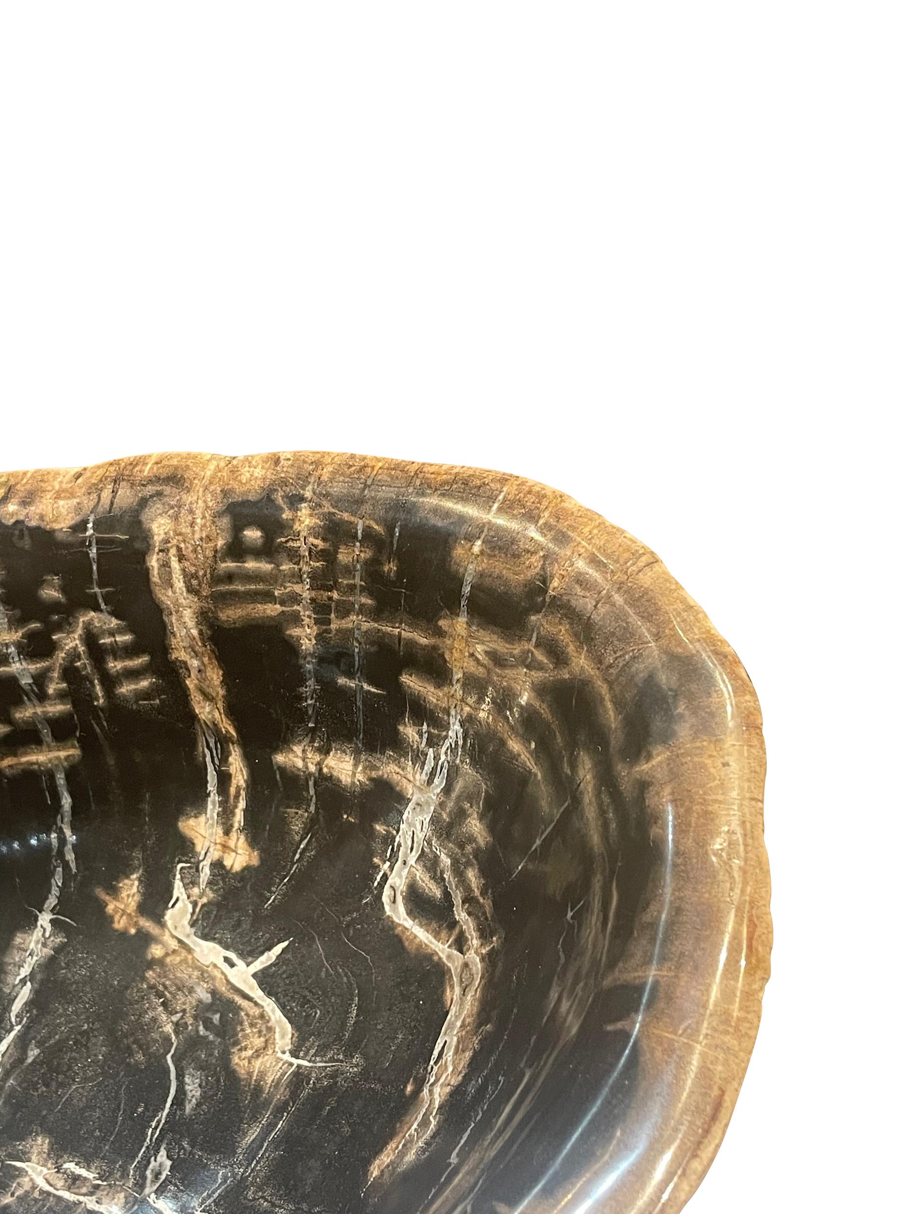 Große Schale aus versteinertem Holz aus Indonesien.
Schwarz und taupefarben.
Organische freie Form A.