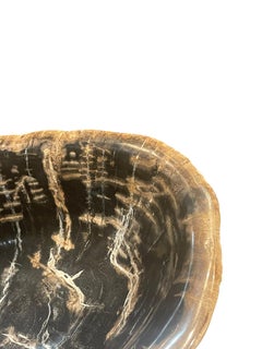 Black And Taupe Large Petrified Wood Free Form Bowl, Indonesia, Prehistoric